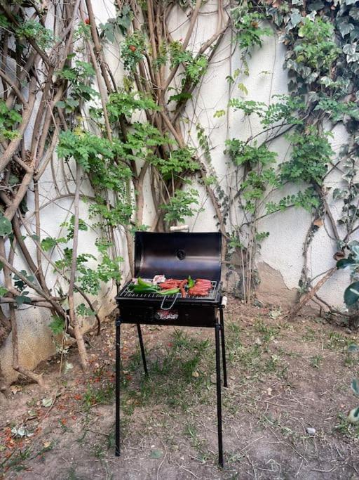 Etage De Villa Avec Jardin, Pres De L'Aireport Et Parking Prive Ariana Exteriör bild