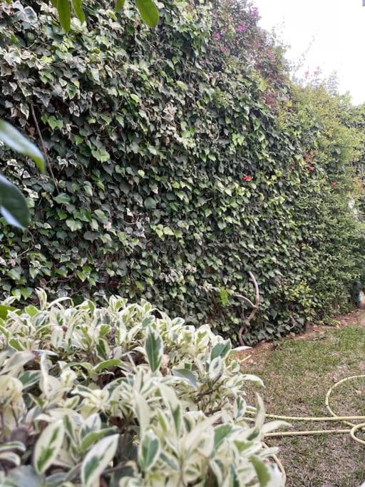 Etage De Villa Avec Jardin, Pres De L'Aireport Et Parking Prive Ariana Exteriör bild