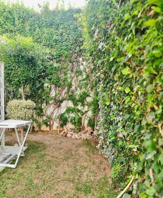 Etage De Villa Avec Jardin, Pres De L'Aireport Et Parking Prive Ariana Exteriör bild
