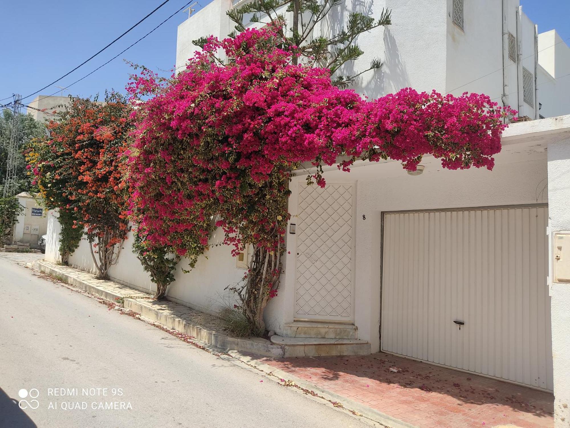 Etage De Villa Avec Jardin, Pres De L'Aireport Et Parking Prive Ariana Exteriör bild