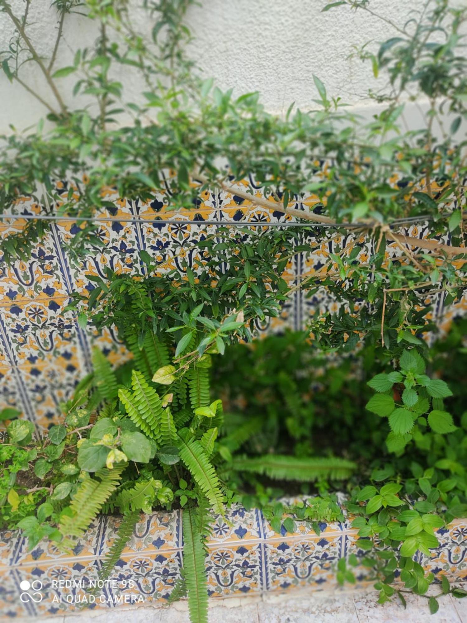 Etage De Villa Avec Jardin, Pres De L'Aireport Et Parking Prive Ariana Exteriör bild